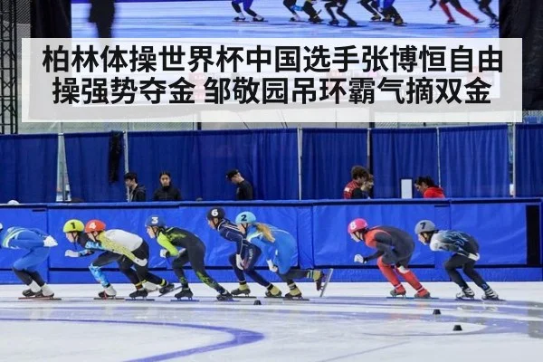 柏林体操世界杯中国选手张博恒自由操强势夺金 邹敬园吊环霸气摘双金